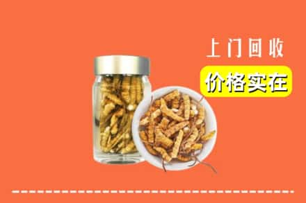 收购资讯:西安区回收散虫草