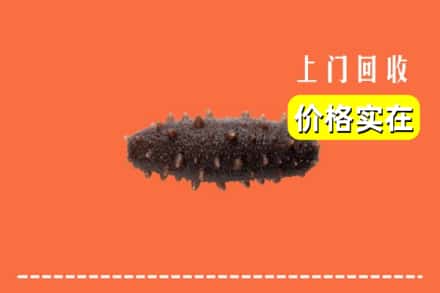 收购资讯:西安区回收海参