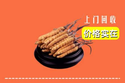 西安区回收冬虫夏草